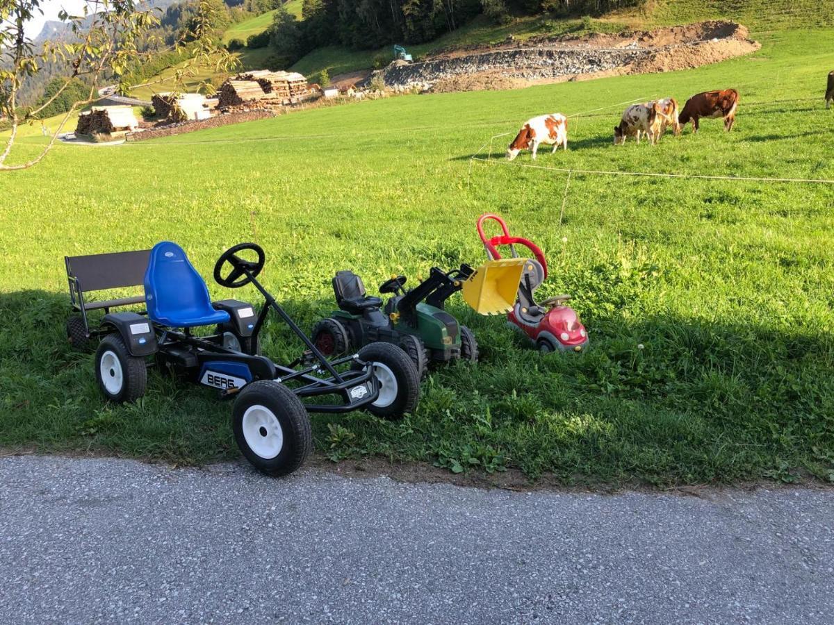 Rieserhof/Fam. Meissnitzer Taxenbach Eksteriør bilde